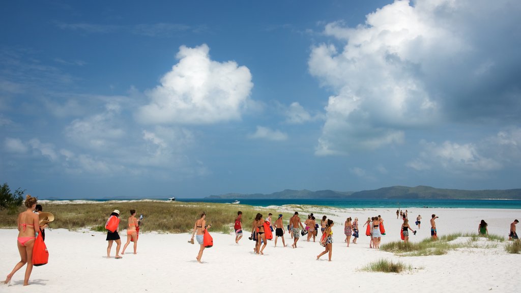 Hamilton Island mostrando paisagem, uma praia de areia e paisagens litorâneas