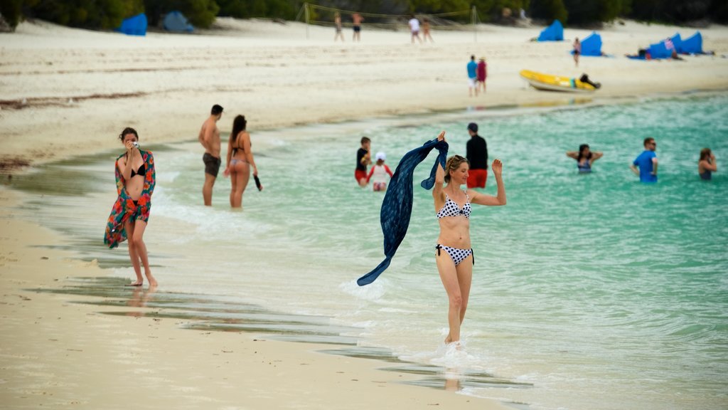 Hamilton Island showing a beach as well as a small group of people