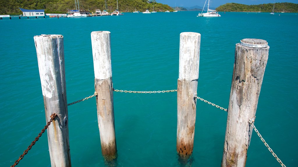 Shute Harbour which includes general coastal views