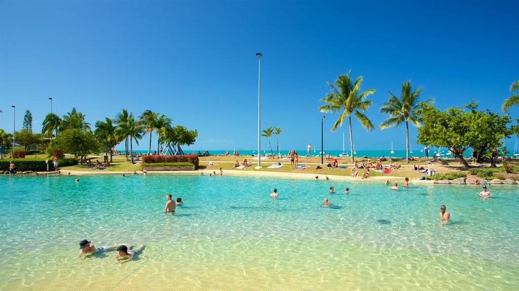 Airlie Beach Lagoon johon kuuluu maisemat, uinti ja allas