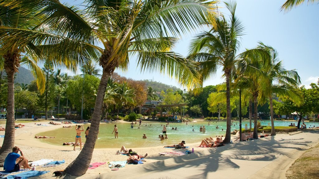 Laguna de Airlie Beach que incluye una alberca, natación y escenas tropicales