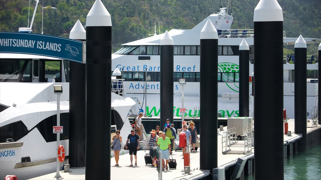 Port of Airlie que incluye una bahía o puerto y también un pequeño grupo de personas