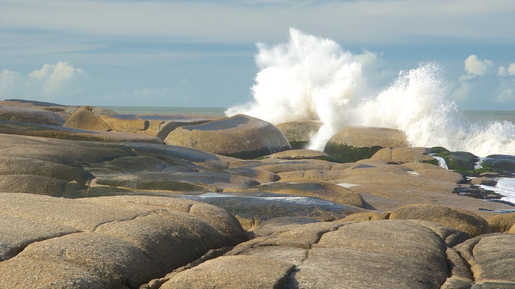 Punta del Diablo que inclui litoral rochoso e paisagens litorâneas