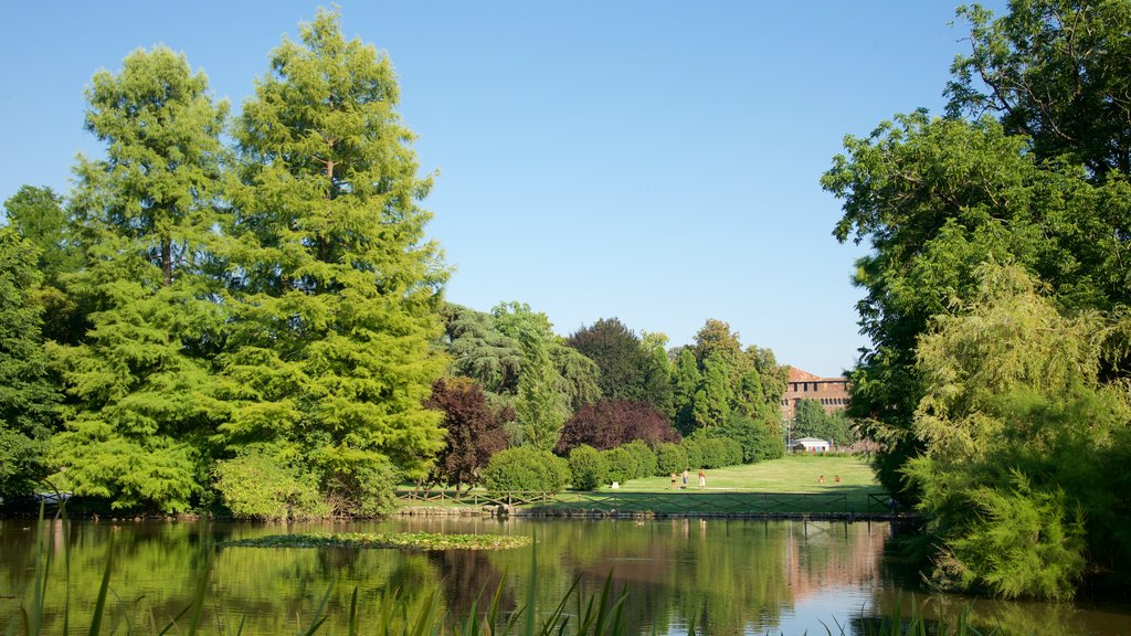 Parco Sempione montrant jardin et mare