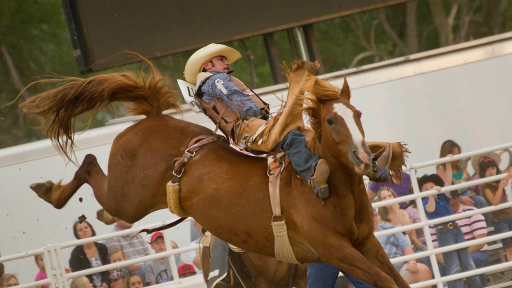 North Platte caracterizando cavalgada e um evento desportivo assim como um homem sozinho