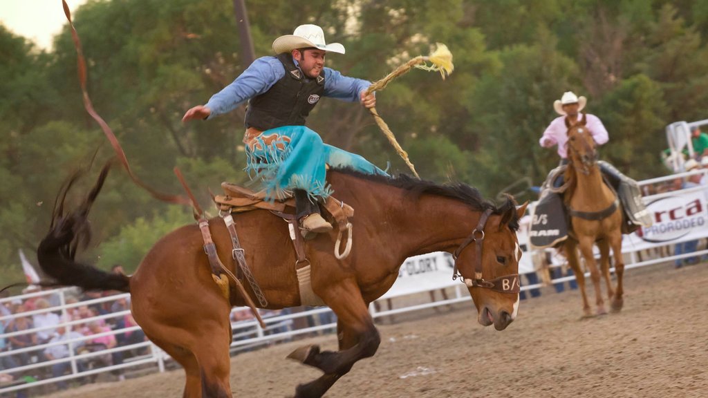 North Platte que inclui cavalgada e um evento desportivo assim como um homem sozinho