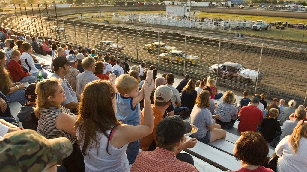 McCook showing a festival as well as a family