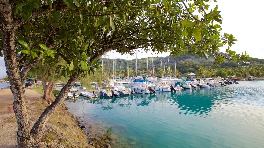 Raiatea Marina which includes sailing, a bay or harbour and general coastal views