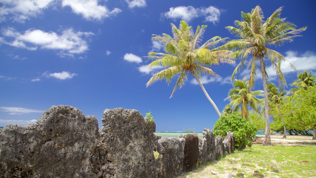 Marae Taputapuātea mostrando paisagens litorâneas e cenas tropicais