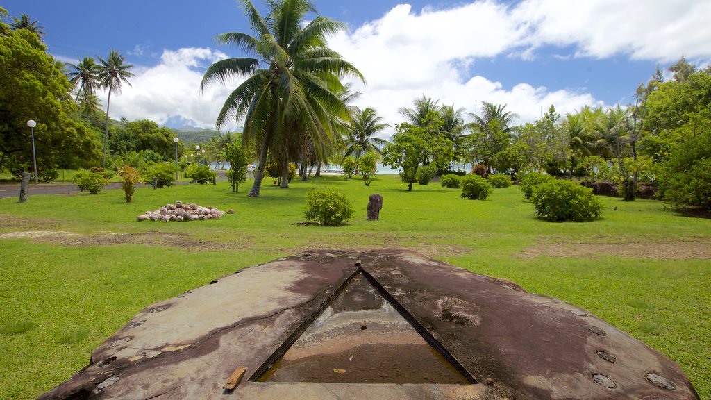 Marae Taputapuatea which includes general coastal views and tropical scenes