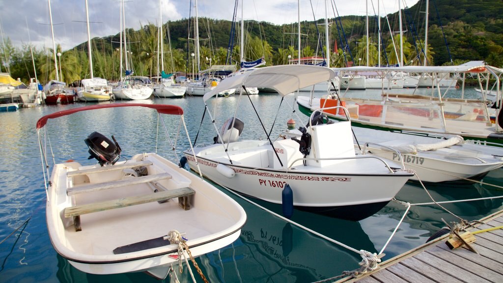 Marina de Raiatea montrant voile, bateau et une baie ou un port