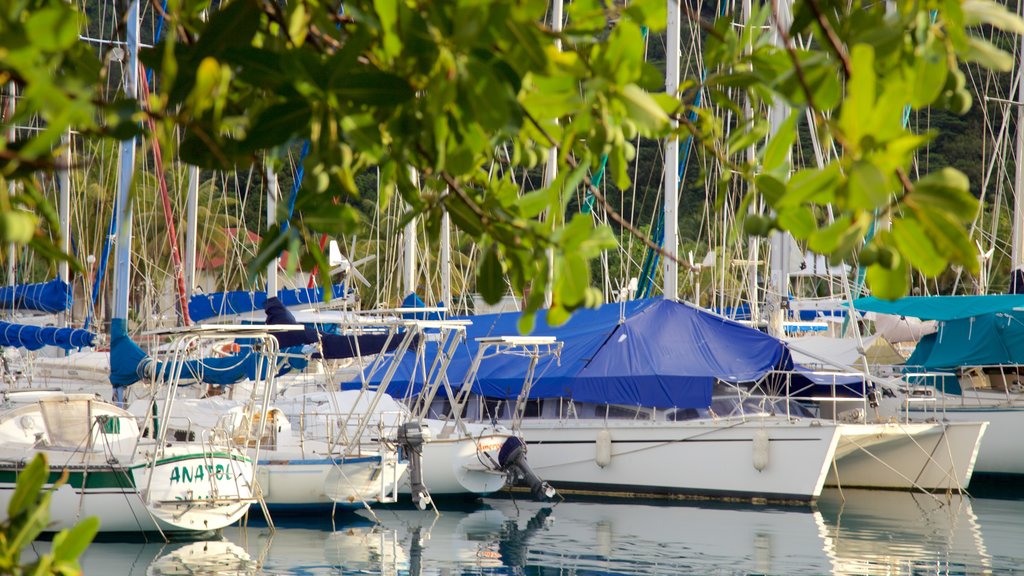 Raiatea Marina som omfatter en bugt eller havn, sejlads og bådsejlads