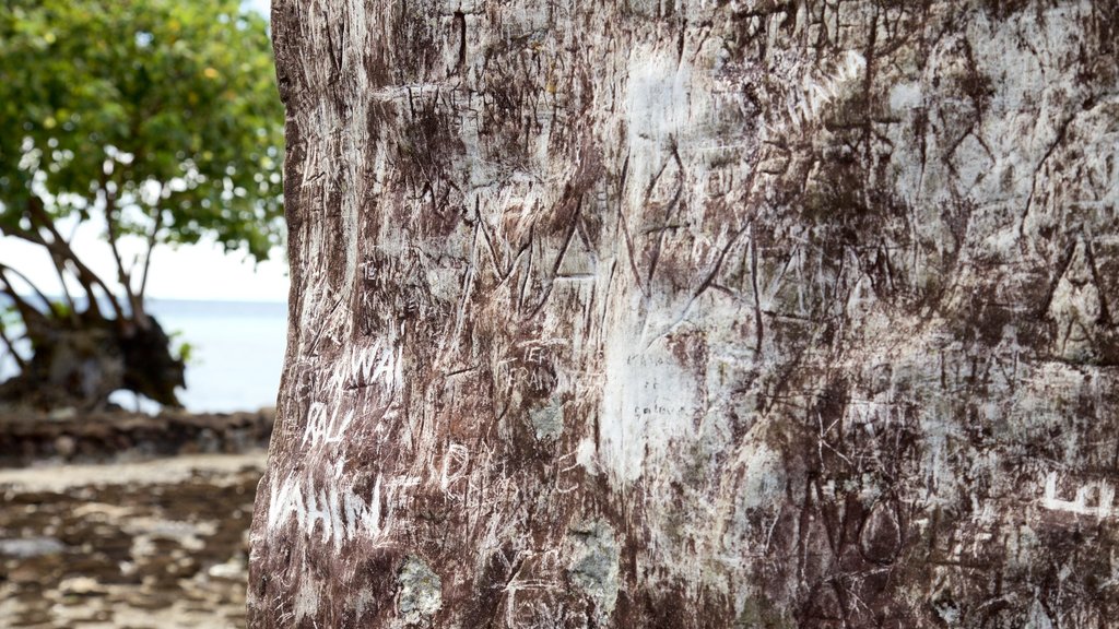 Marae Taputapuātea que inclui paisagens litorâneas, cenas tropicais e sinalização