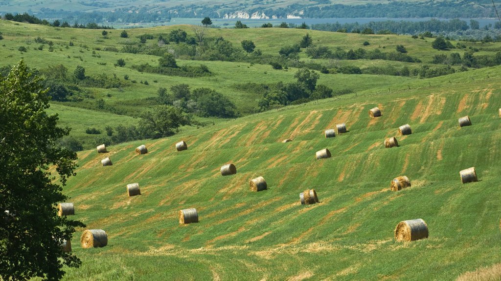 Niobrara showing tranquil scenes and landscape views