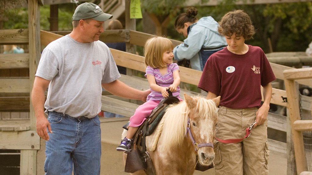 Lincoln Children\'s Zoo caracterizando animais de zoológico e cavalgada assim como um pequeno grupo de pessoas