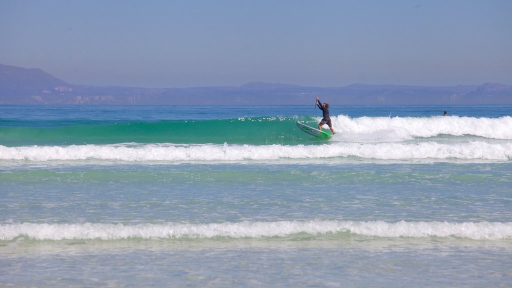 Strand mostrando surf, vistas de paisajes y una playa de arena