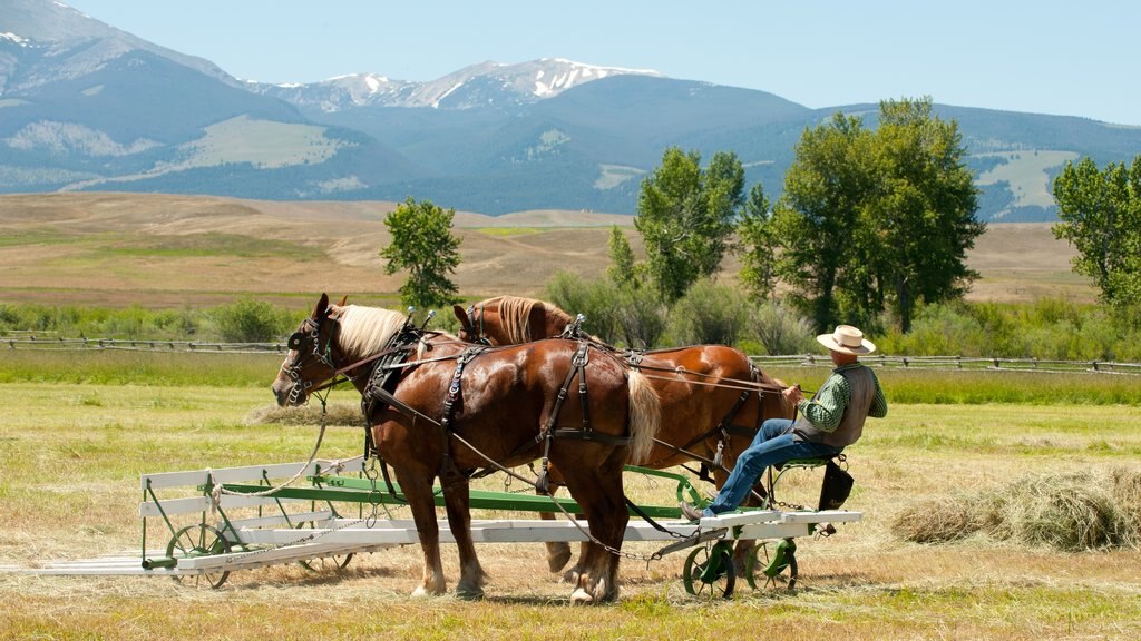 อุทยานประวัติศาสตร์แห่งชาติ Grant-Kohrs Ranch