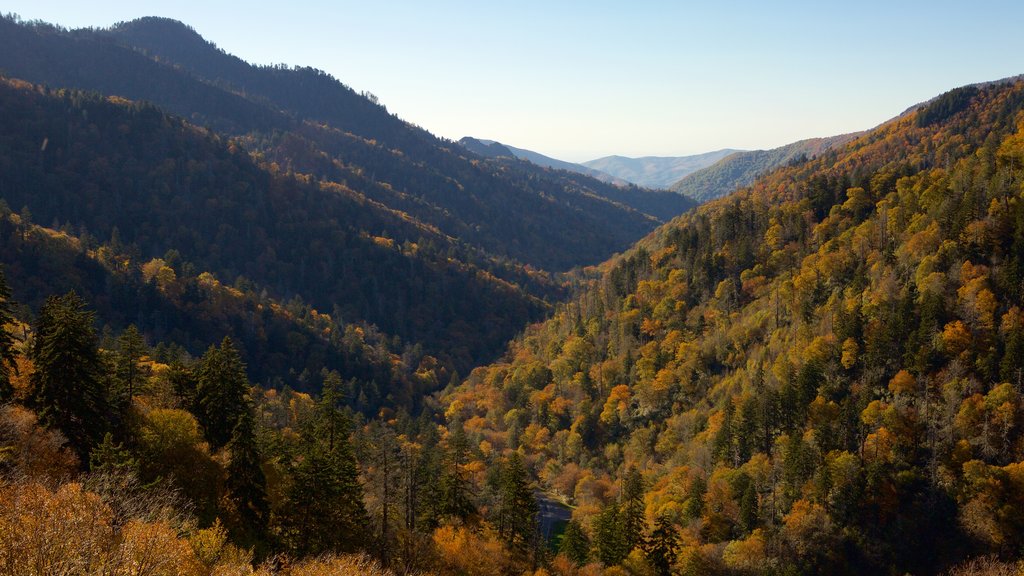 Great Smoky Mountains Nationalpark mit einem Landschaften und ruhige Szenerie