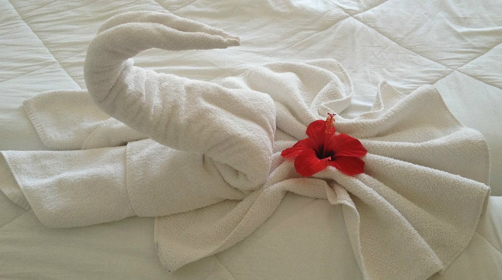 housekeeping-1024x571.jpg