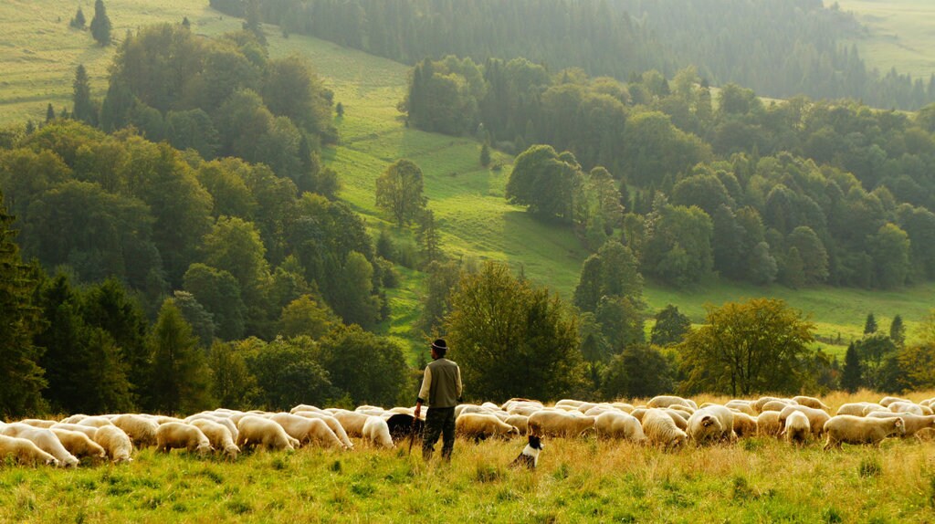 agrotourismus-1024x574.jpg
