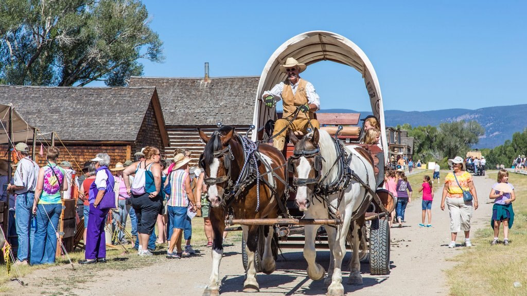 Dillon featuring horse riding and street scenes as well as a large group of people