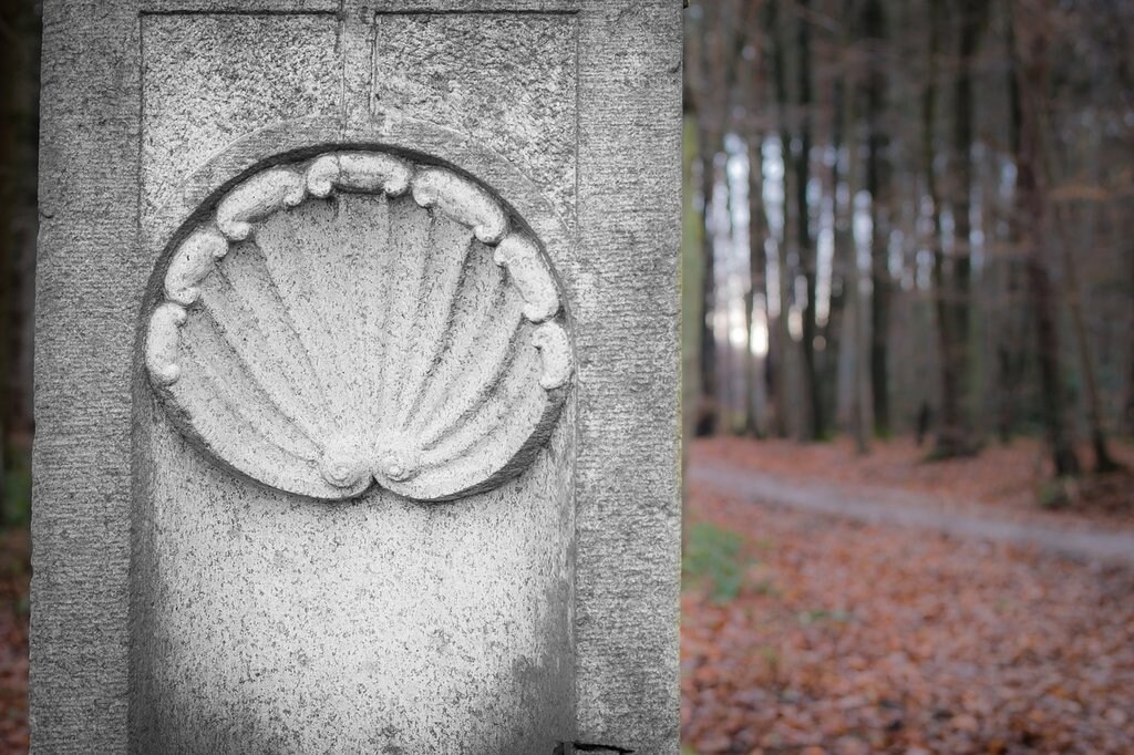 jakobsmuscheln-1024x682.jpg