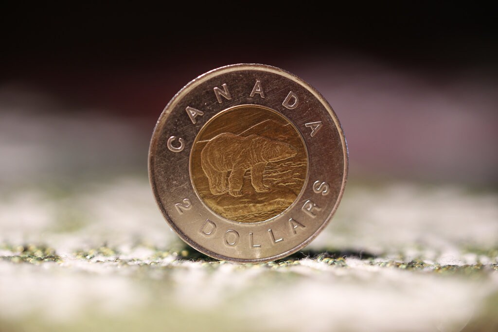 toonie-1024x683.jpg