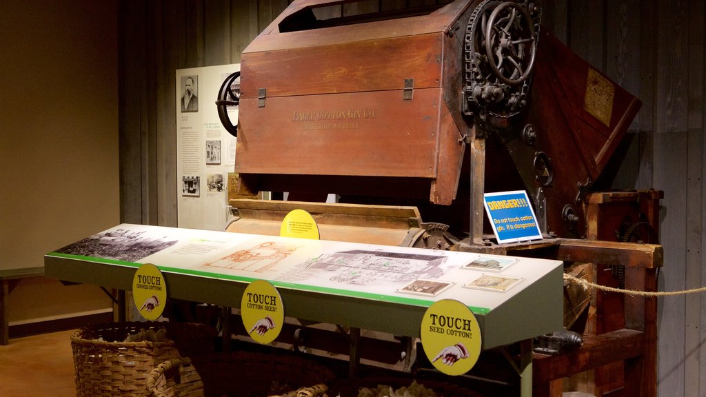 Levine Museum of the New South showing interior views