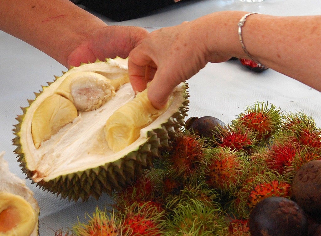 durian-essen-1024x755.jpg