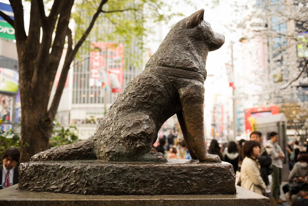 shibuya-hachiko-1024x684.jpg