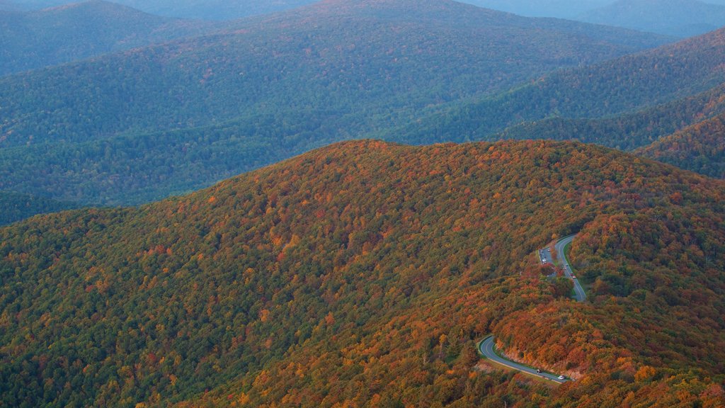 Shenandoah National Park which includes mountains, forest scenes and autumn leaves