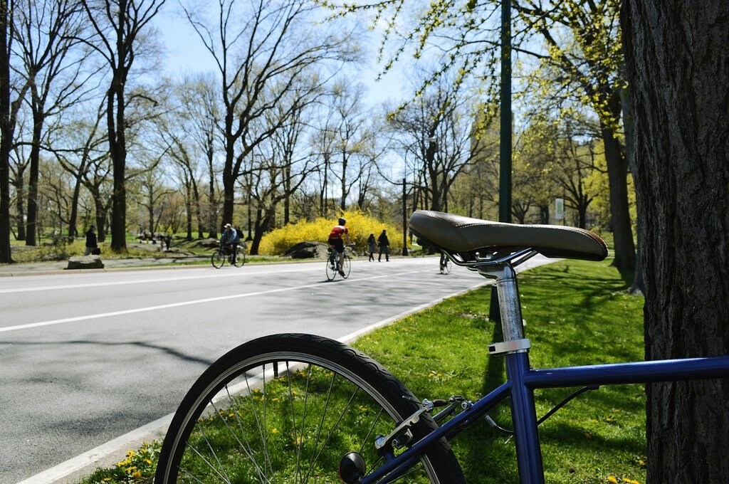 central-park-fahrrad-1024x680.jpg
