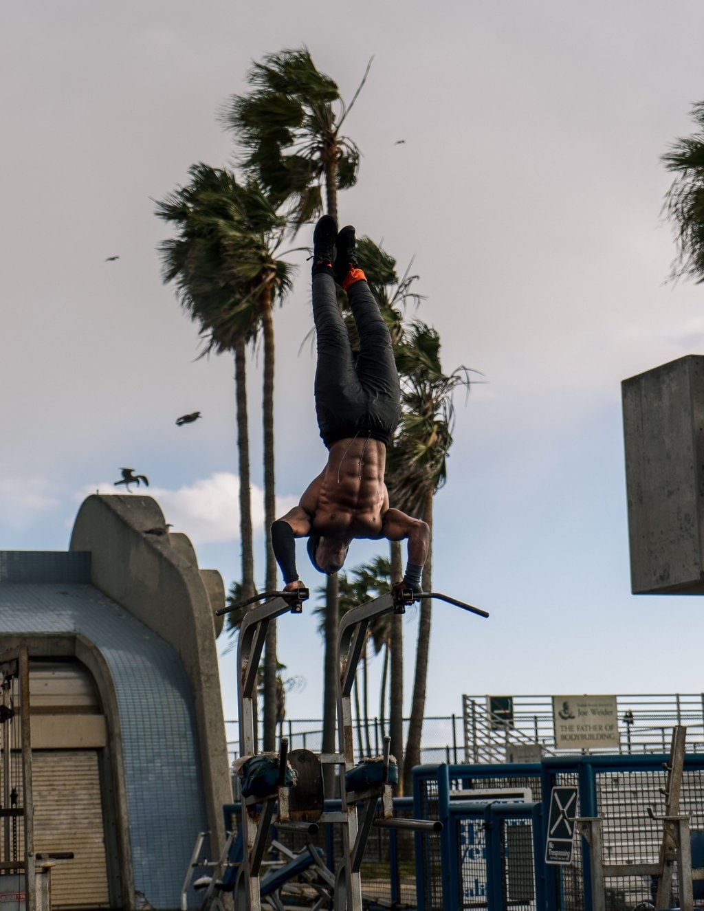 muscle-beach-791x1024.jpg