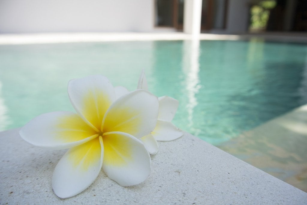 pool-wellness-1024x685.jpg
