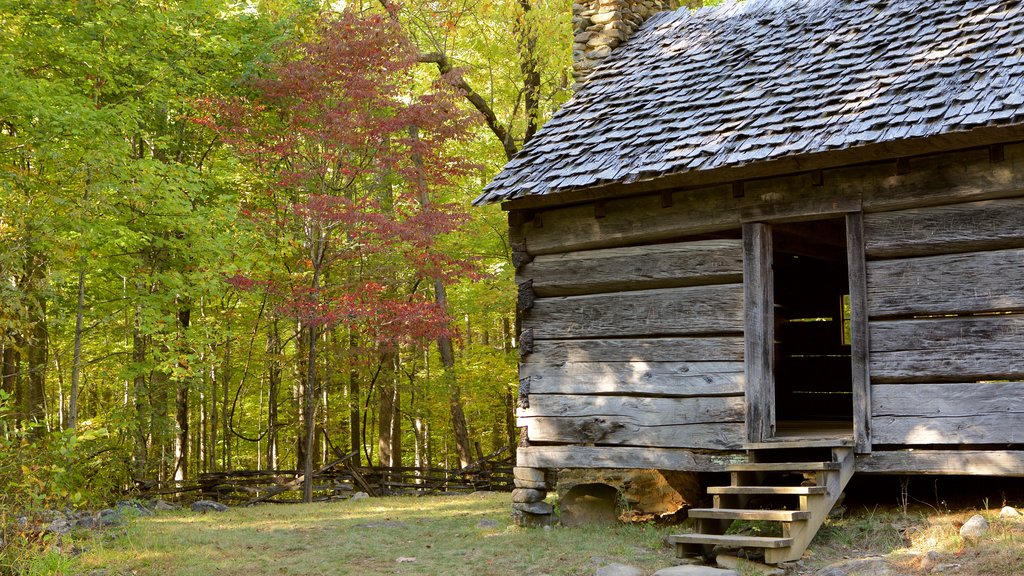 Roaring Fork which includes a garden and forests