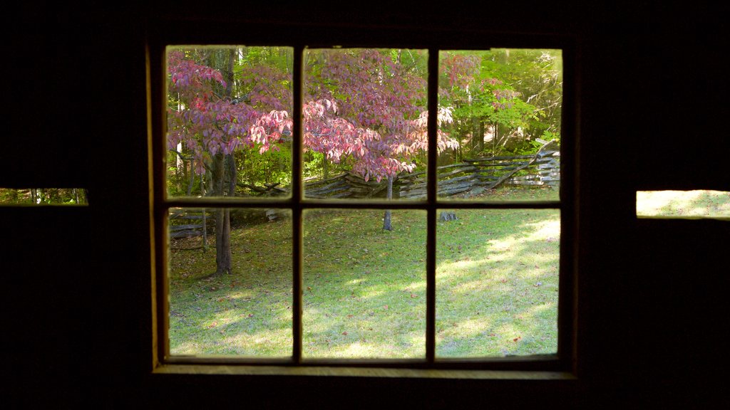 Great Smoky Mountains National Park bevat een huis en vredige uitzichten