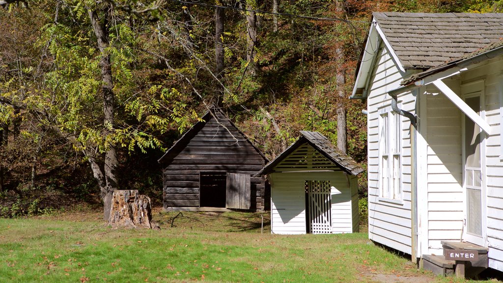 Charlotte which includes forest scenes and a house