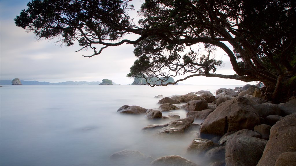 Shakespeare Lookout showing rocky coastline and a bay or harbour