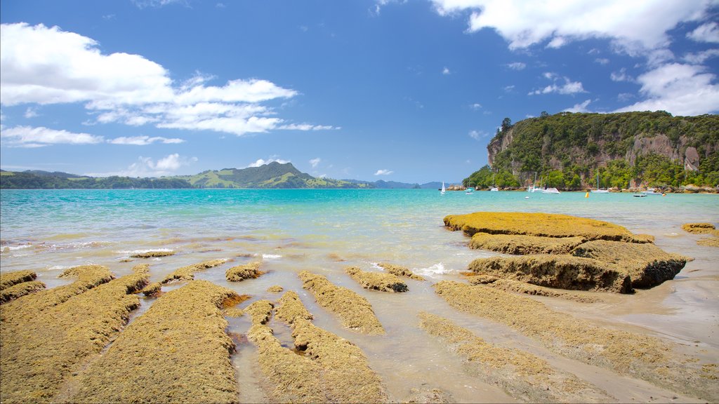 Shakespeare Lookout , Whitianga, Nueva Zelanda que incluye costa rocosa y una bahía o un puerto