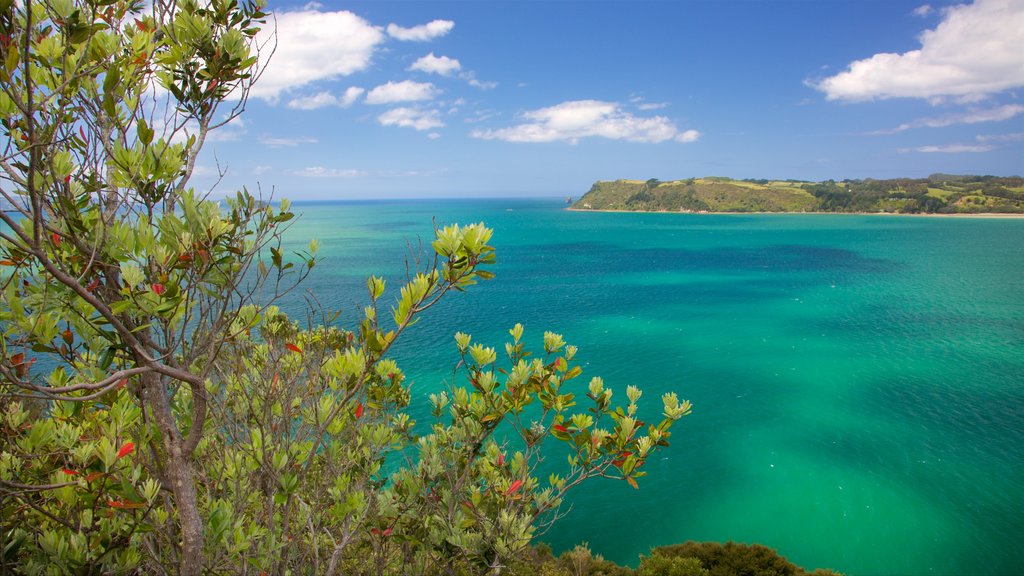 Shakespeare Cliff Lookout showing a bay or harbour