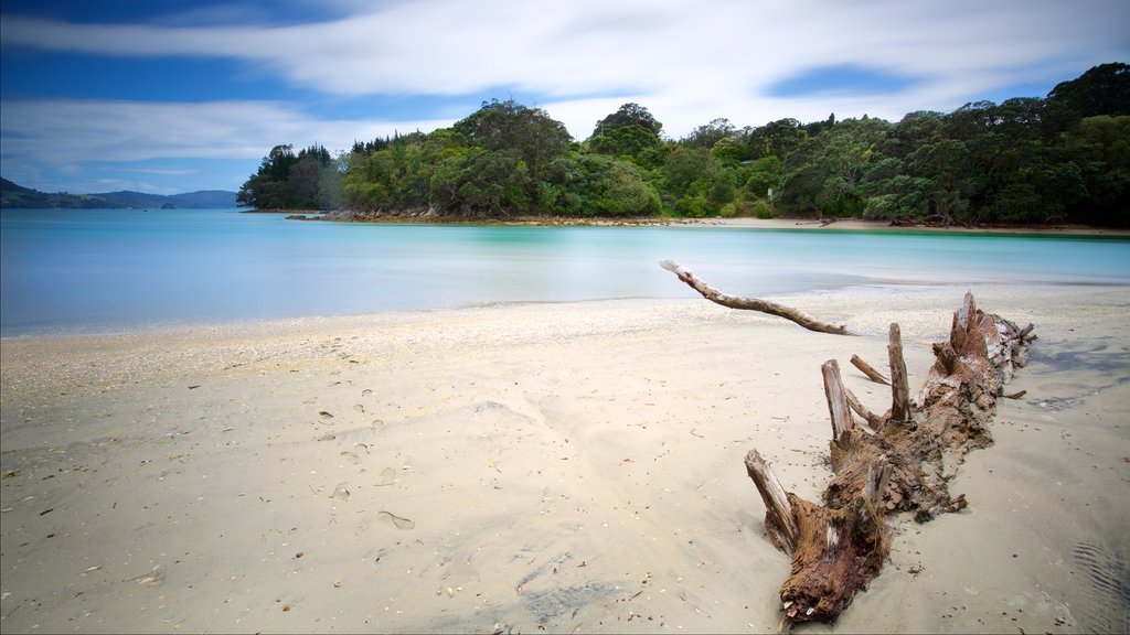 Whitianga montrant une plage de sable et une baie ou un port