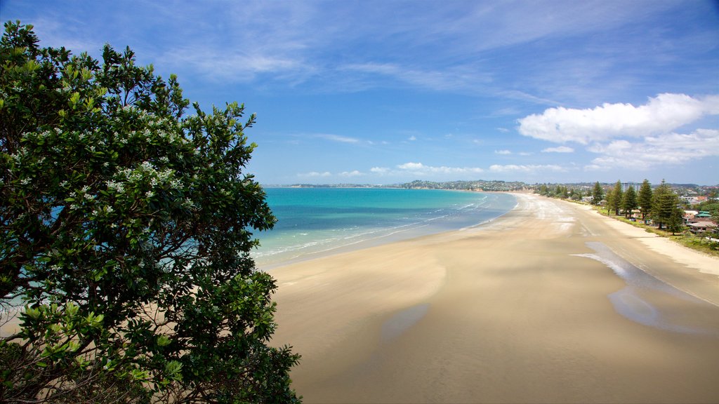 Orewa mostrando una bahía o puerto y una playa de arena