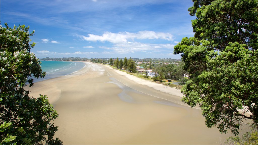 Orewa showing a bay or harbour and a sandy beach