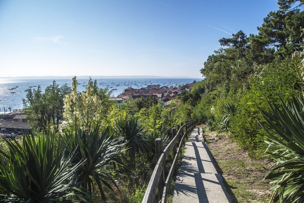 Arcachon_CC0.jpg?1545557397