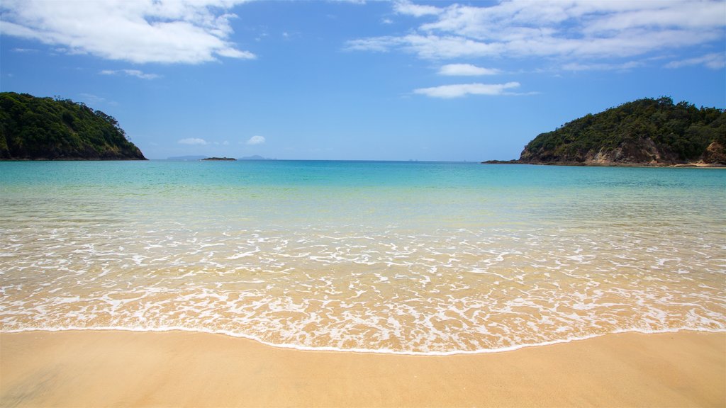 Tutukaka ofreciendo una bahía o un puerto y una playa de arena