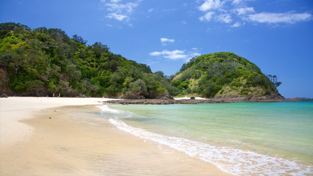 Tutukaka which includes a bay or harbor and a sandy beach