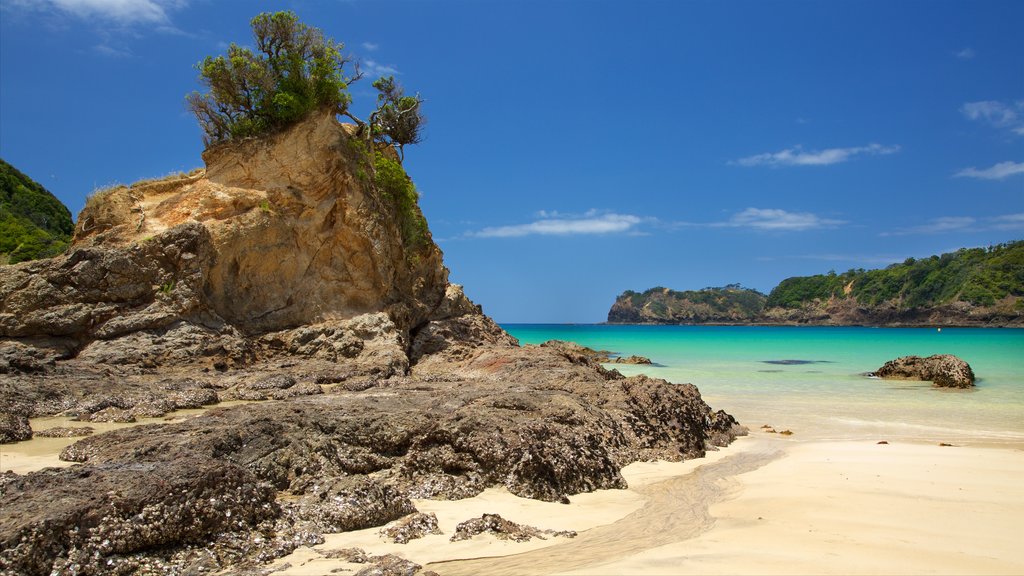 Tutukaka showing a beach, a bay or harbor and rugged coastline