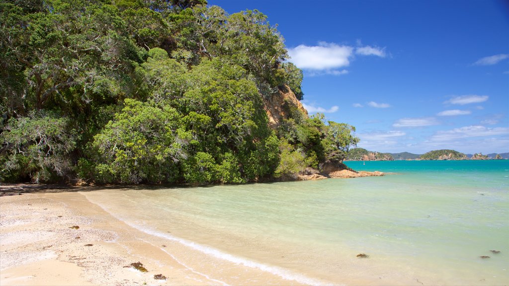 Russell que incluye una bahía o puerto y una playa de arena