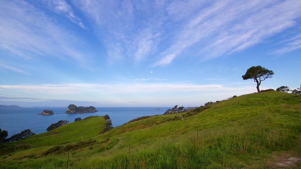 Strand van Cathedral Cove inclusief algemene kustgezichten en afbeeldingen van eilanden