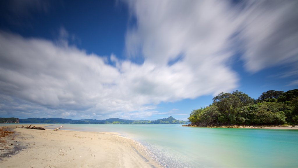 Cooks Beach showing a sandy beach and landscape views